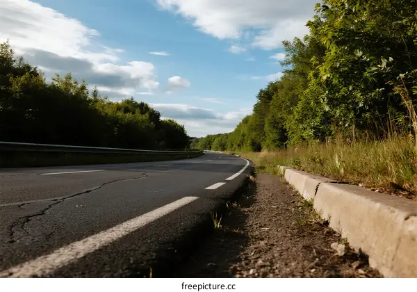 A peaceful country road surrounded by lush green trees under a blue sky