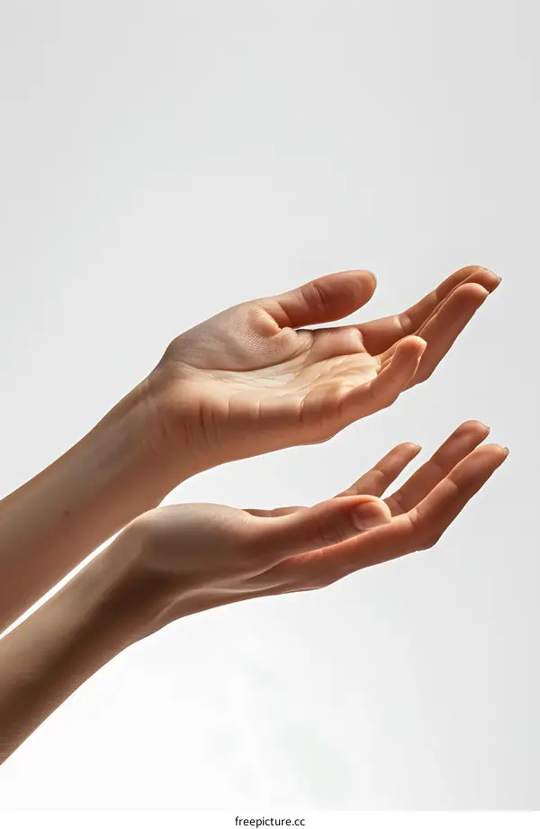 Open Hands Gesturing Against White Background