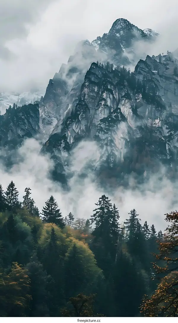 Misty Mountain Landscape with Fog