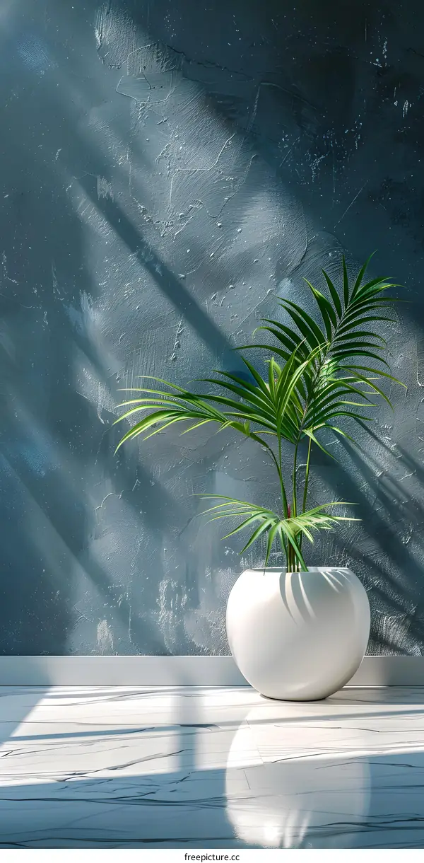 Indoor Plant