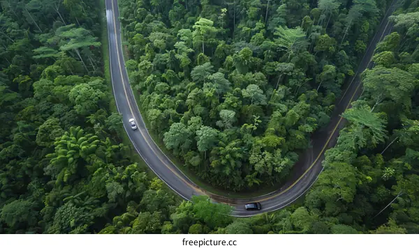 Aerial View of Winding Road Through Lush Green Forest