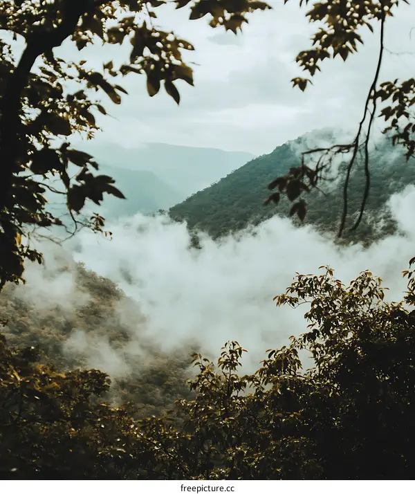 Mountain Landscape with Misty Clouds and Green Trees