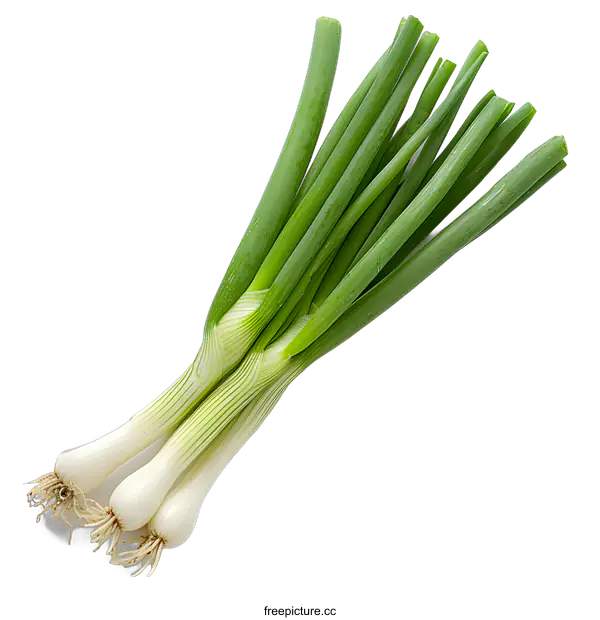 [Transparent Background PNG]Green onions on a white background