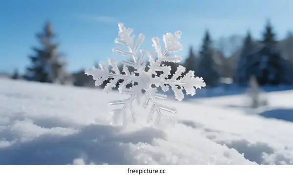 A Detailed Close-Up of a Delicate Snowflake on Snowy Ground