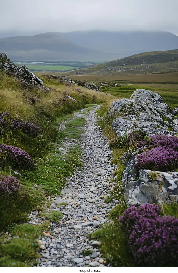 Stone Path Leading Through Green Grassy Hills