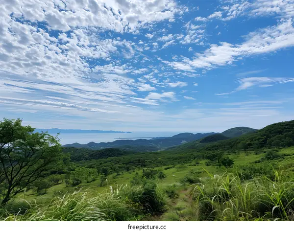 A verdant mountain range and a distant ocean inlet