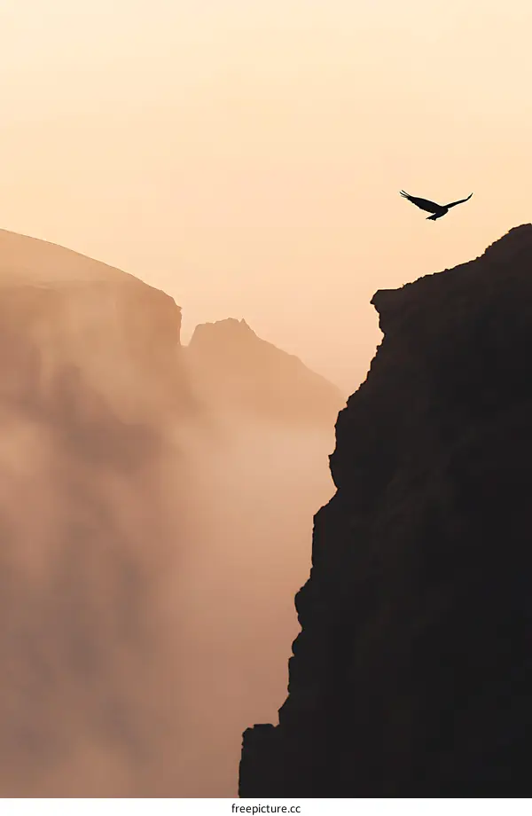 Silhouette of a Bird Flying Over Foggy Cliffs at Sunset
