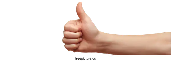 [Transparent Background PNG]A Hand Giving a Thumbs Up Gesture Against a White Background