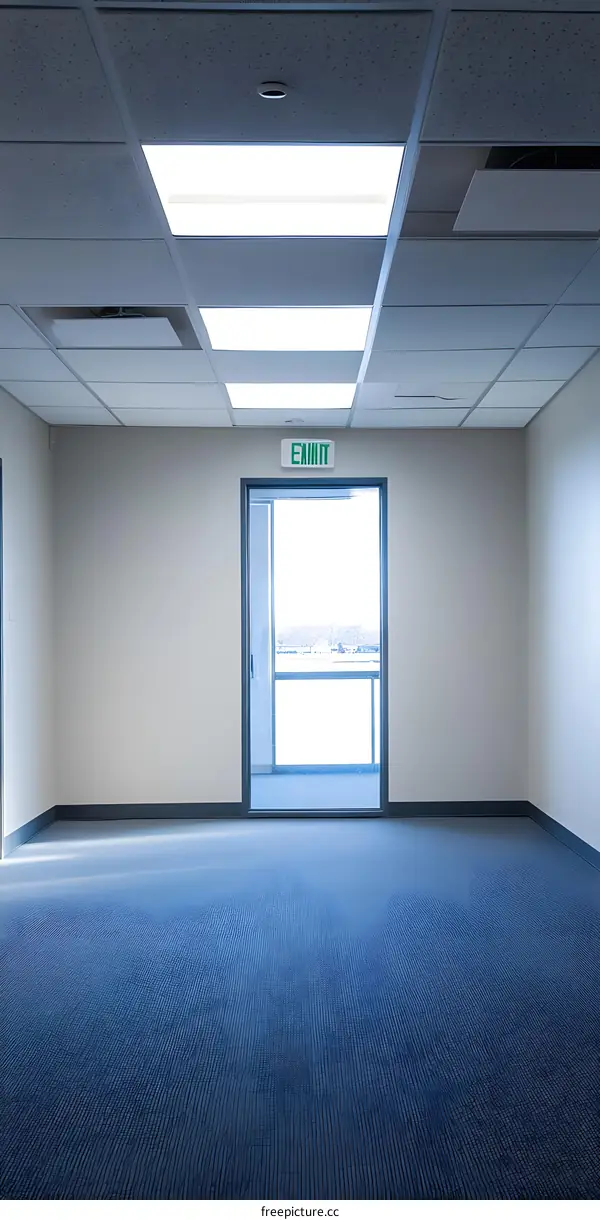 Empty Office Room With Blue Carpet and Glass Door