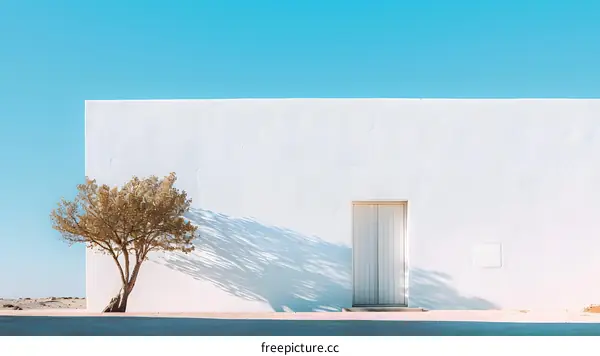 Minimalist White Wall with Tree and Door