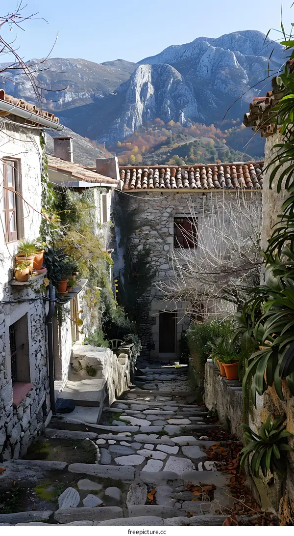 Stone Steps Leading Up To A Mountain Village