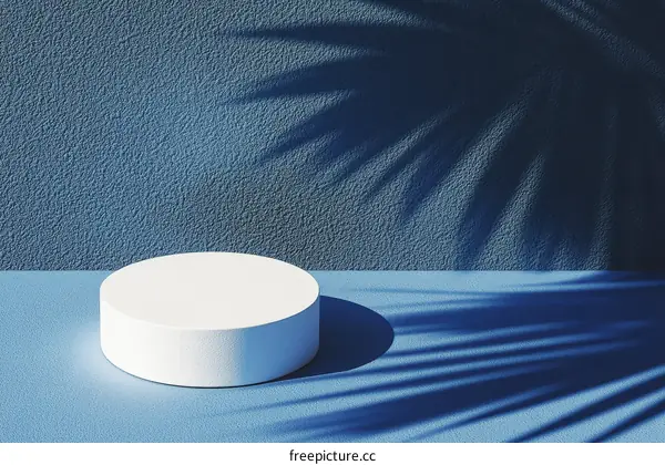 Modern Minimalist White Cylinder Podium Display