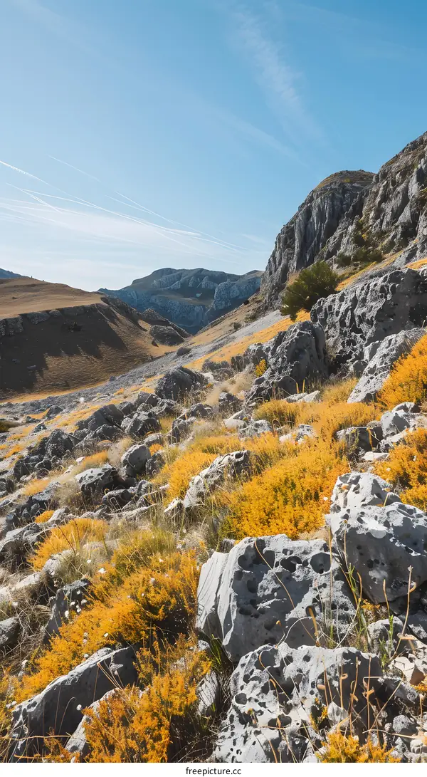 Mountain Landscape With Yellow Flowers And Rocks
