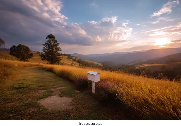 Sunset Over the Golden Hills with a Mailbox