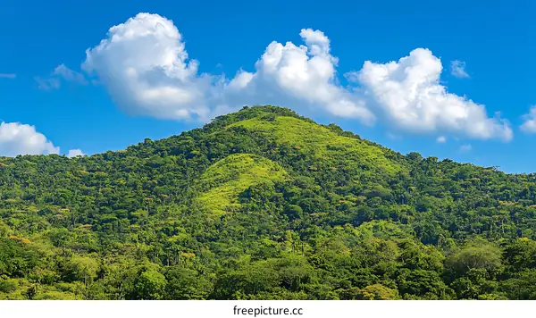 Green Mountain Landscape Under Sunny Sky