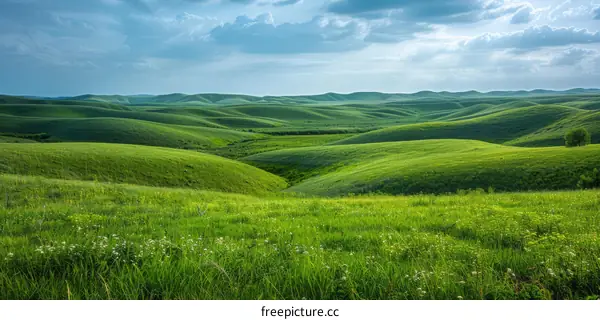 Rolling Green Hills Under a Blue Sky with Clouds