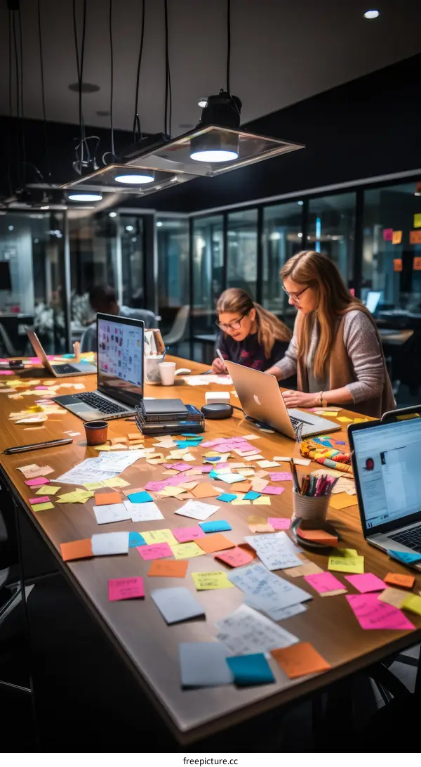 Two women brainstorming in a brightly lit office