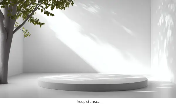 Empty White Display Podium with Sunlight and Tree