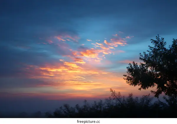 Sunrise Colorful Sky with Trees Silhouette