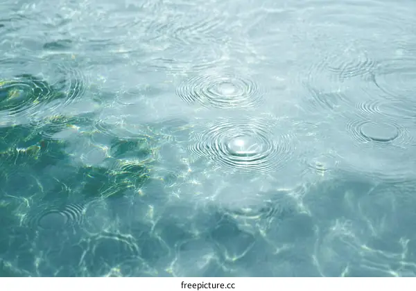 Tranquil Water Surface Ripples