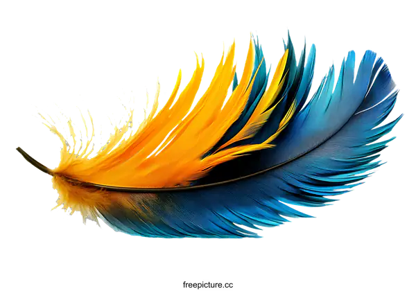 [Transparent Background PNG]Vibrant Feather in Yellow and Blue