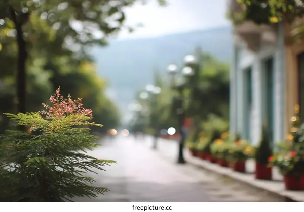 Blurred City Street Scene with Plants and Buildings