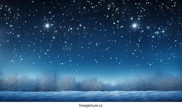 A beautiful winter night sky with stars and snow covered trees