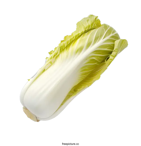 [Transparent Background PNG]Fresh Green Bok Choy Isolated on White Background