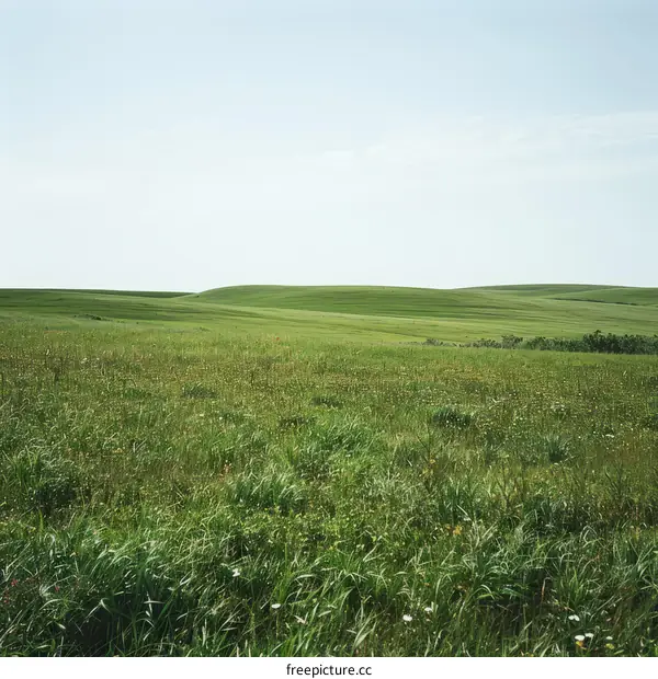 Green rolling hills of the Flint Hills prairie in Kansas
