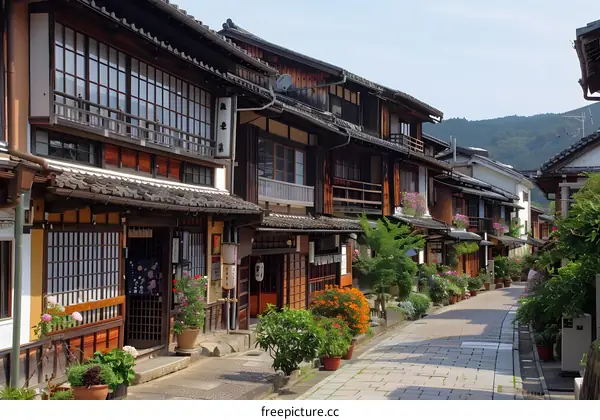 Japanese traditional houses in a preserved old town