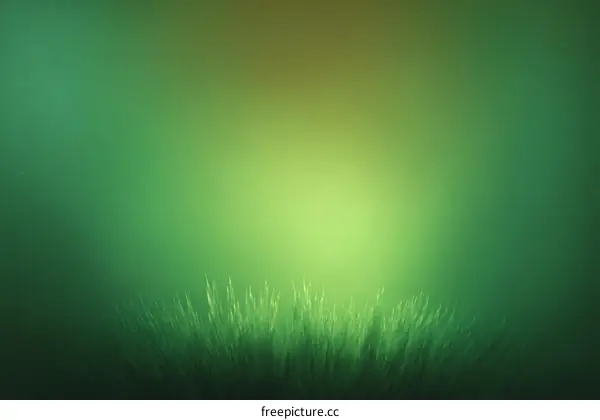 Abstract Green Gradient Background with Grass