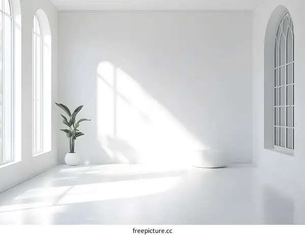 Minimalist White Room With Arched Window And Plant