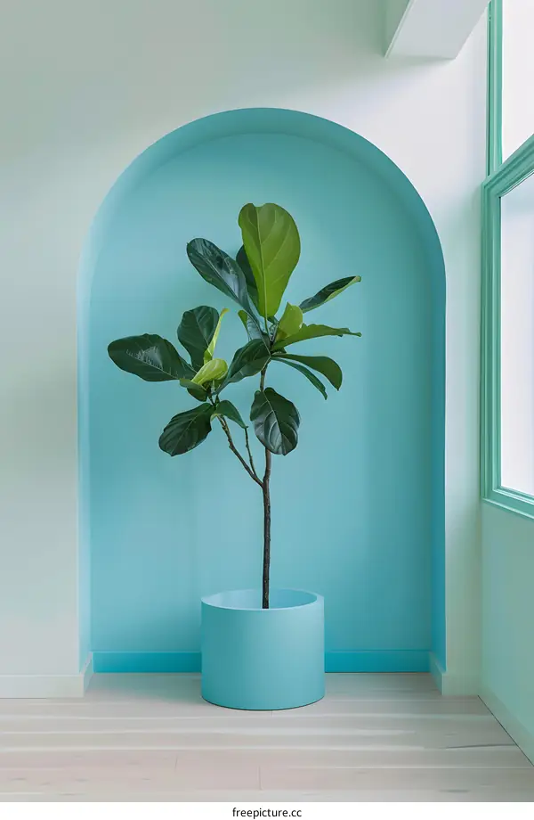 Modern Minimalist Interior Design with a Fiddle Leaf Fig
