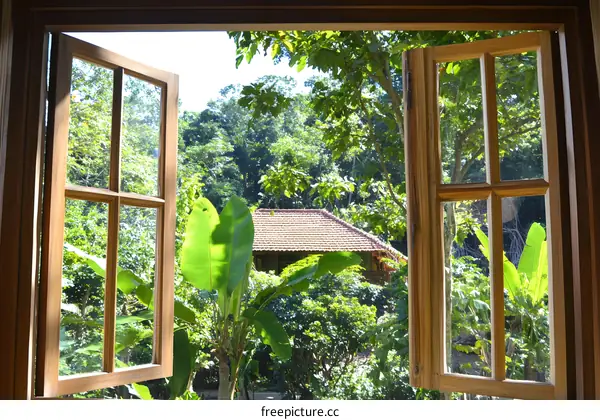 View From Window, Open Window with Lush Greenery