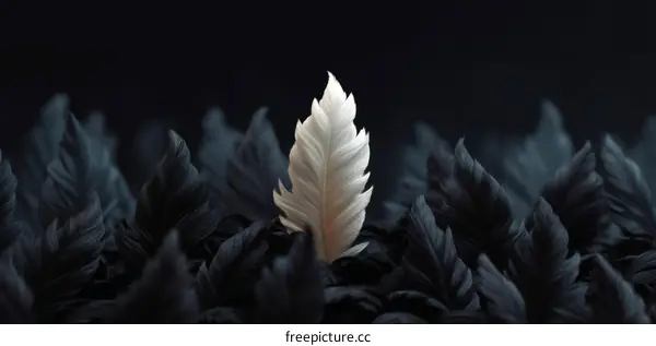 Unique Feather Leaf Standing Out From Dark Leaves