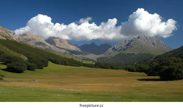 Majestic Mountain Valley Landscape