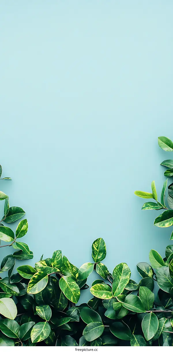 Green Leaves on a Blue Background