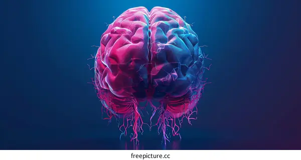 3D Human Brain Illustration for Medical Research