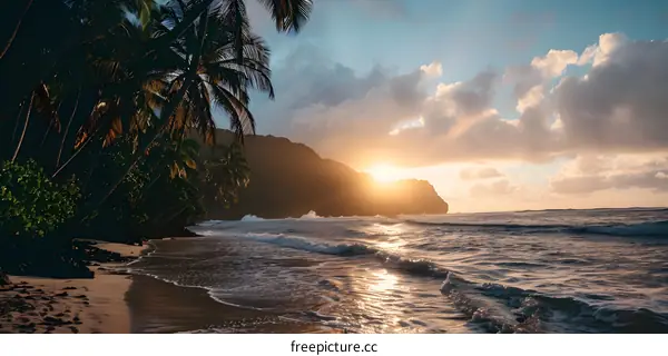 Tropical Beach Sunset with Palm Trees and Golden Sky