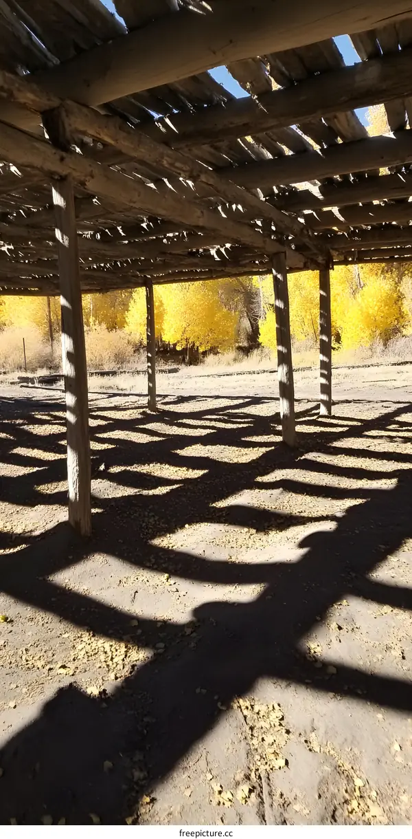 Wooden Structure with Shadows and Autumn Leaves