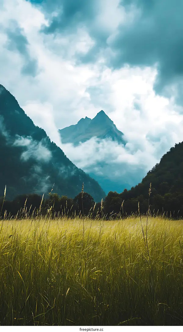 Mountain Landscape With Grass And Clouds