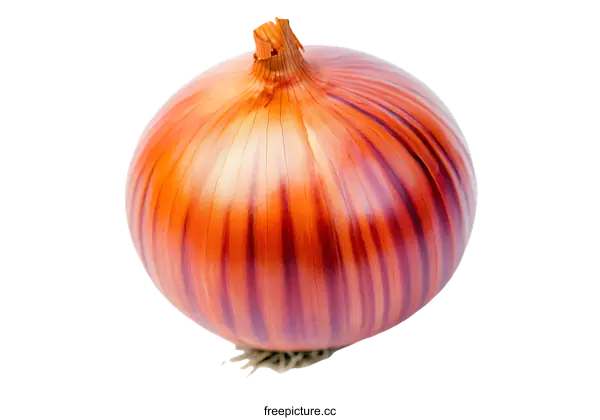 [Transparent Background PNG]Closeup of a Colorful Onion