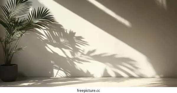 Minimalist Interior with Sunlight and Plant Shadows