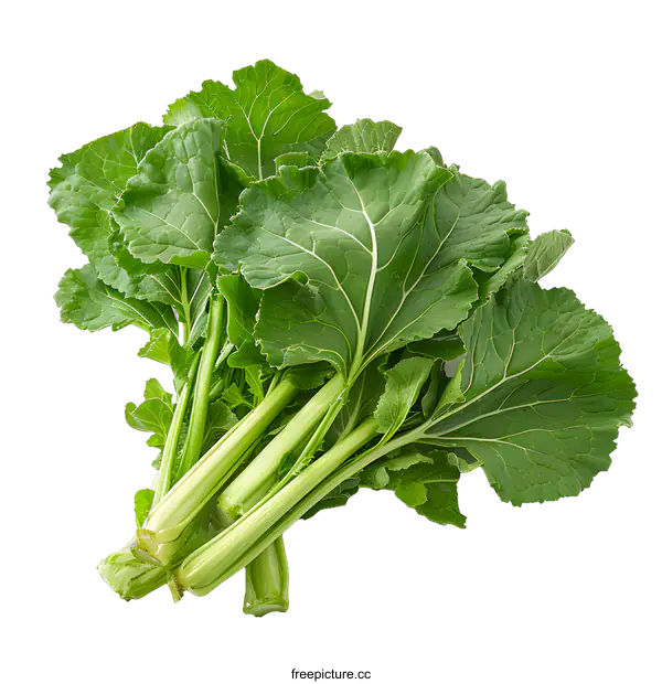 [Transparent Background PNG]A bunch of green leafy vegetables