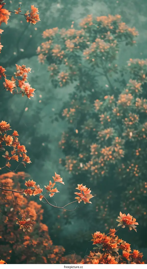 Orange Flowers Blooming in Green Forest