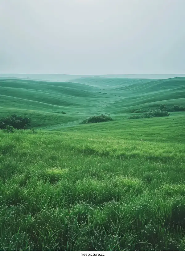 Rolling Green Hills Under a Grey Sky
