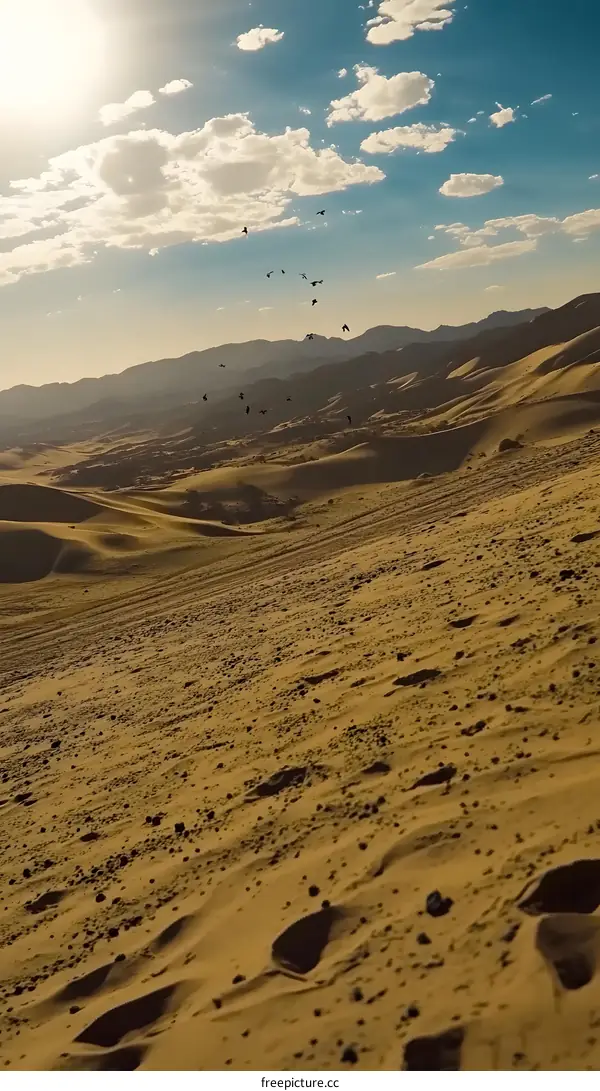 Sand Dunes and a Flock of Birds