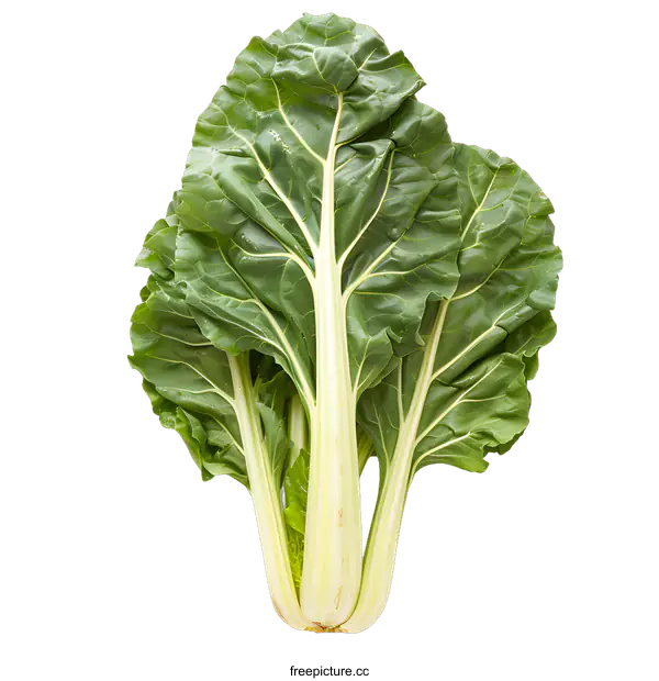 [Transparent Background PNG]Fresh Green Swiss Chard Leaves Isolated On White Background