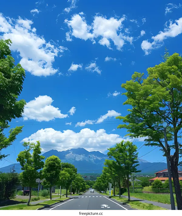 Mountain View Road with Green Trees and Blue Sky