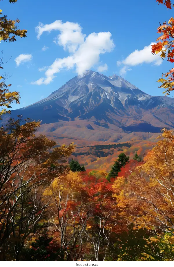 Autumn Leaves and Snowy Mountain